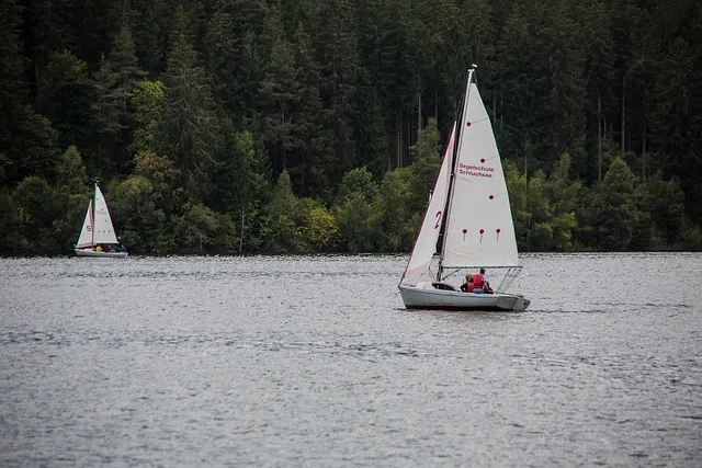 Small sailboat